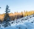 Schnee in der Auvergne: Skifahren & mehr