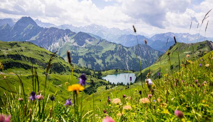 Das herrliche Allgäu bietet nicht nur schöne Familienaktivitäten, sondern auch wundervolle Aussichten wie diese. (Foto: AdobeStock - Basti Heckl)