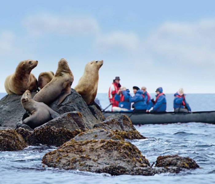 Die Zodiacs werden nahezu täglich verwendet, um die Tierwelt in der Antarktis zu entdecken. (Foto: Hapag-Lloyd Cruises)